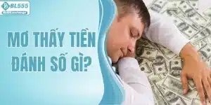 Mơ Thấy Tiền Đánh Số Gì? Giải Mã Điềm Báo Của Giấc Mộng